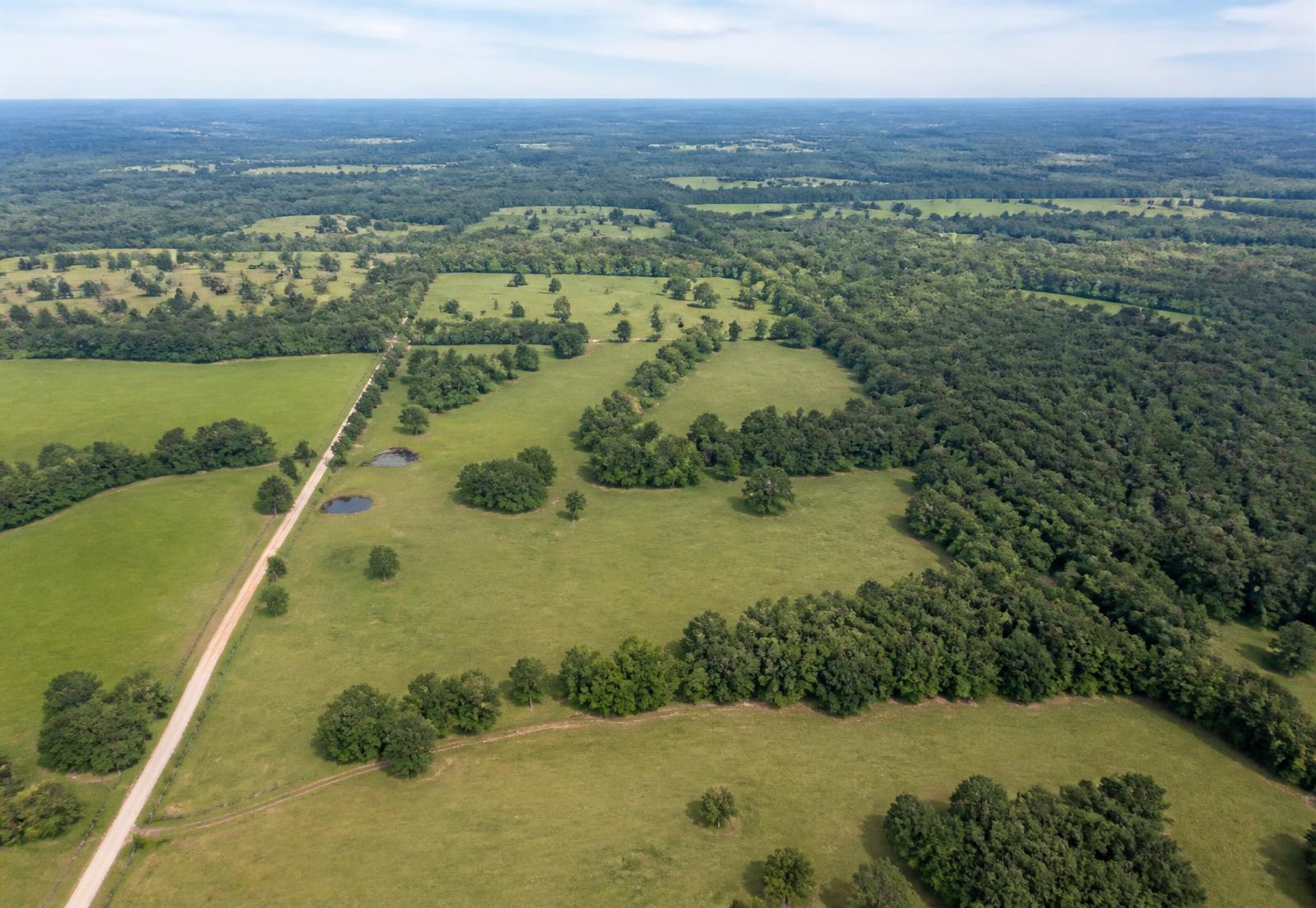 Aerial view of rural acreage and open land parcels divided by tree lines and a dirt access road